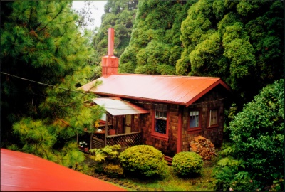 Vacation rental in Volcano's rain forest